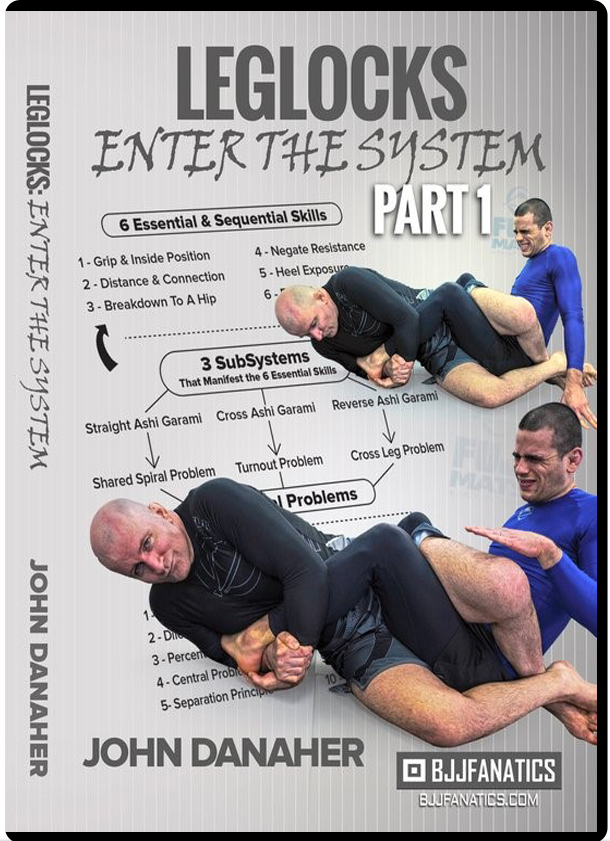 Lee más sobre el artículo Leglocks Enter The System Remastered