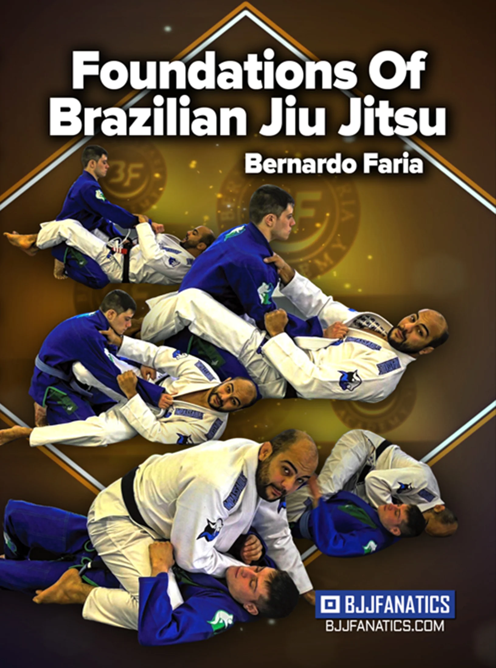 Lee más sobre el artículo Bernardo Faria – Foundations of Brazilian Jiu Jitsu